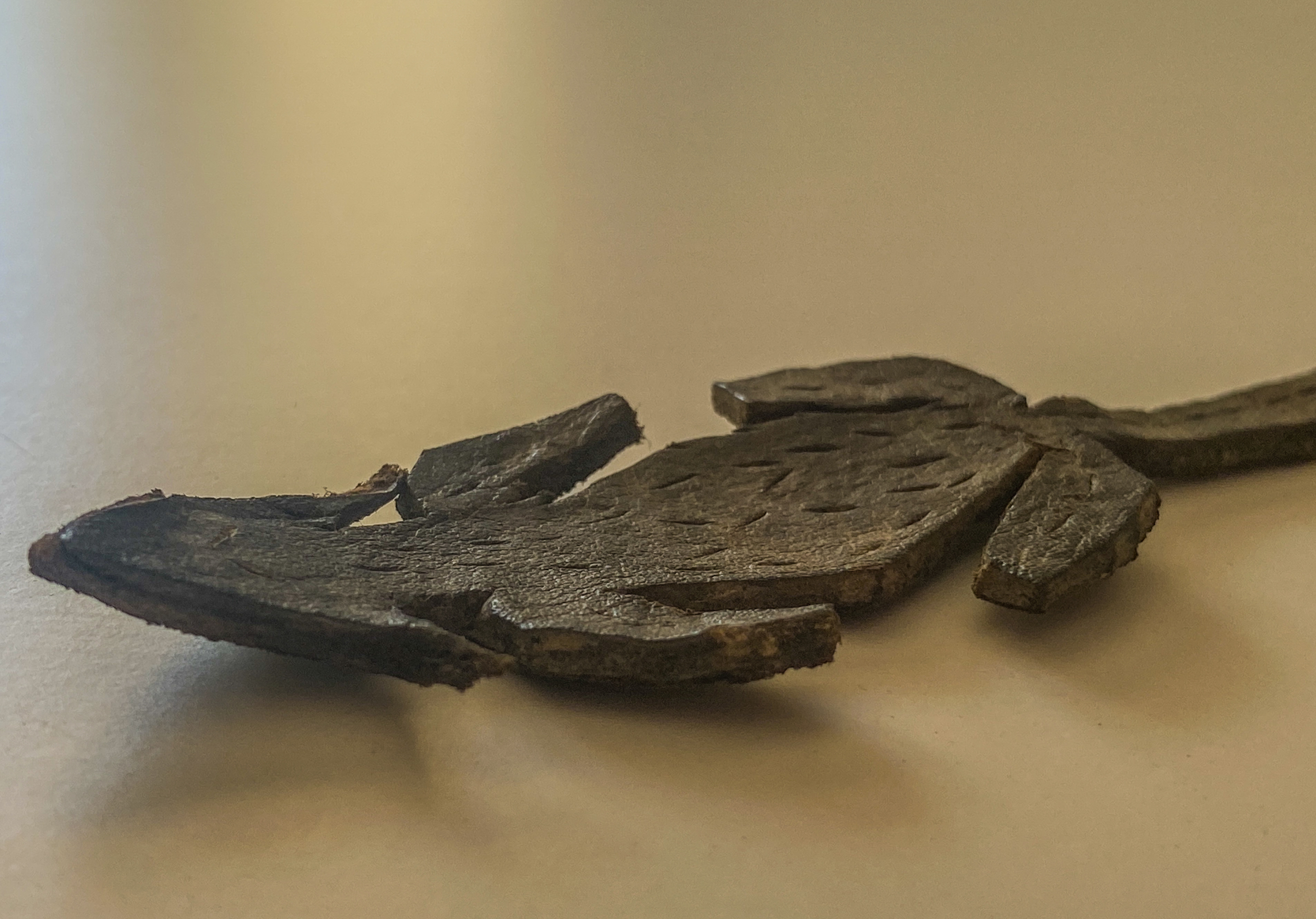 Objets anciens en matières périssables miraculeusement conservés Leather-toy-mouse
