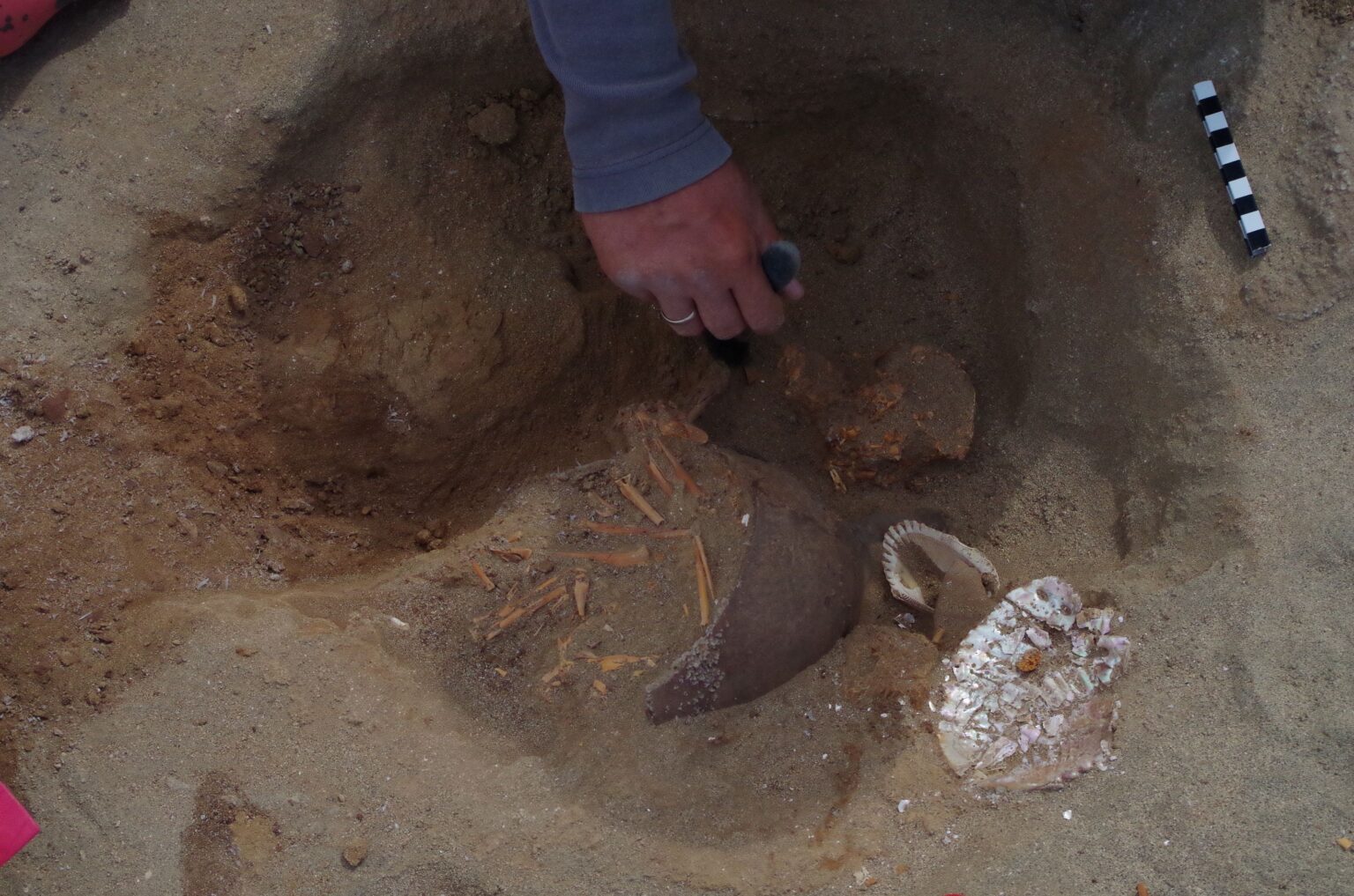 Monkey Shells The History Blog » Ancient