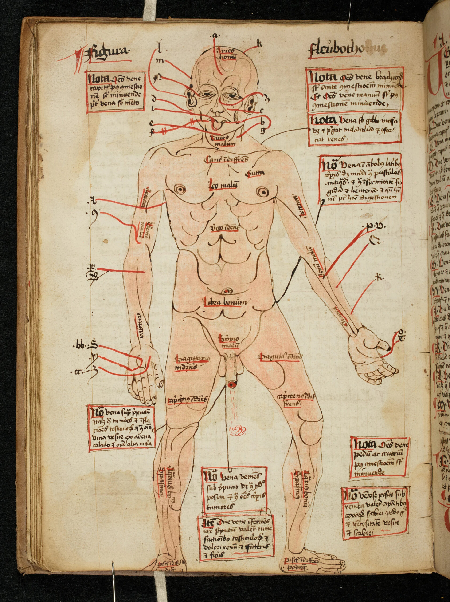 Medieval Notes Cambridge medieval medical texts digitized – The History Blog